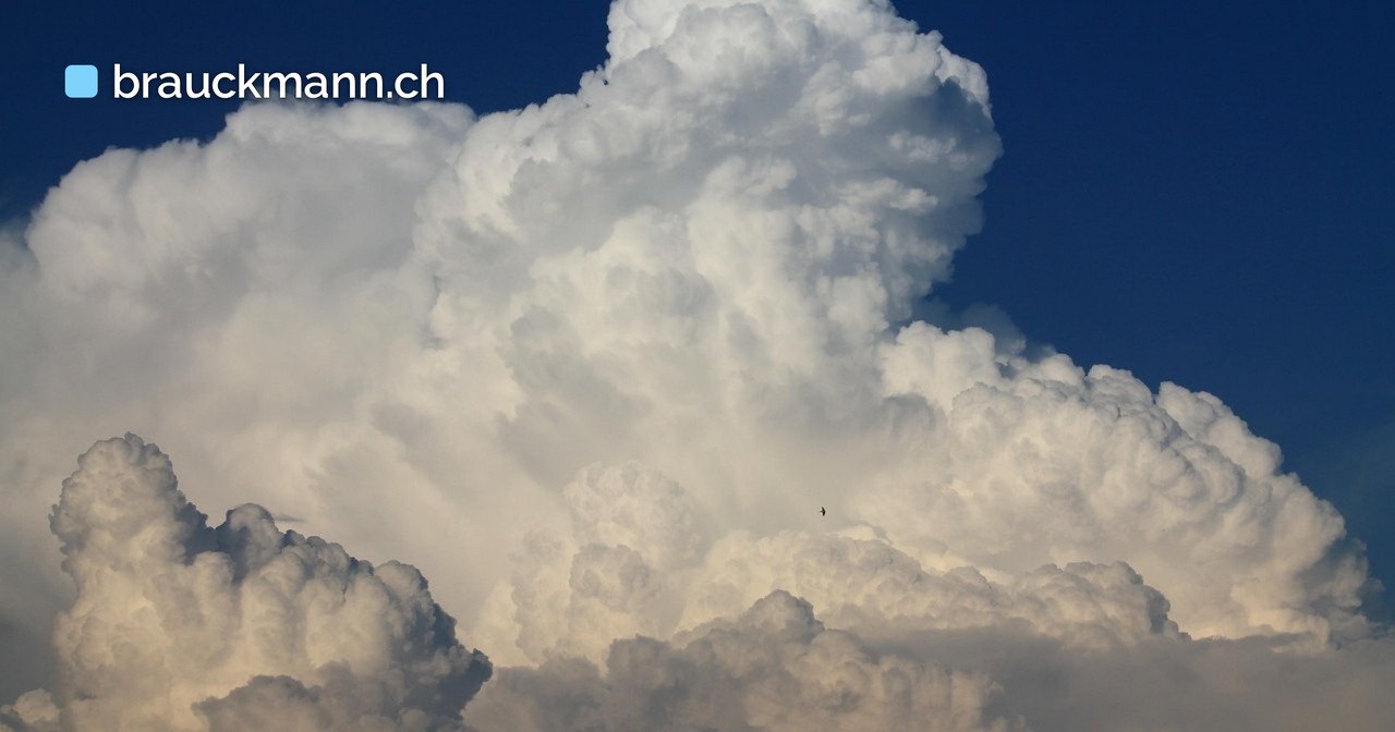 Symbolfoto zum Artikel über Cloud-Beratung und KI: weisse Quellwolken vor blauem Himmel